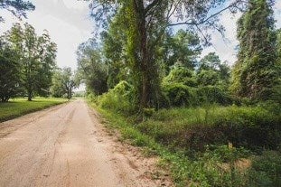 804 Glynn Willis Road Meigs, GA 31765 - Photo 7 of 17 Gallery Image 7
