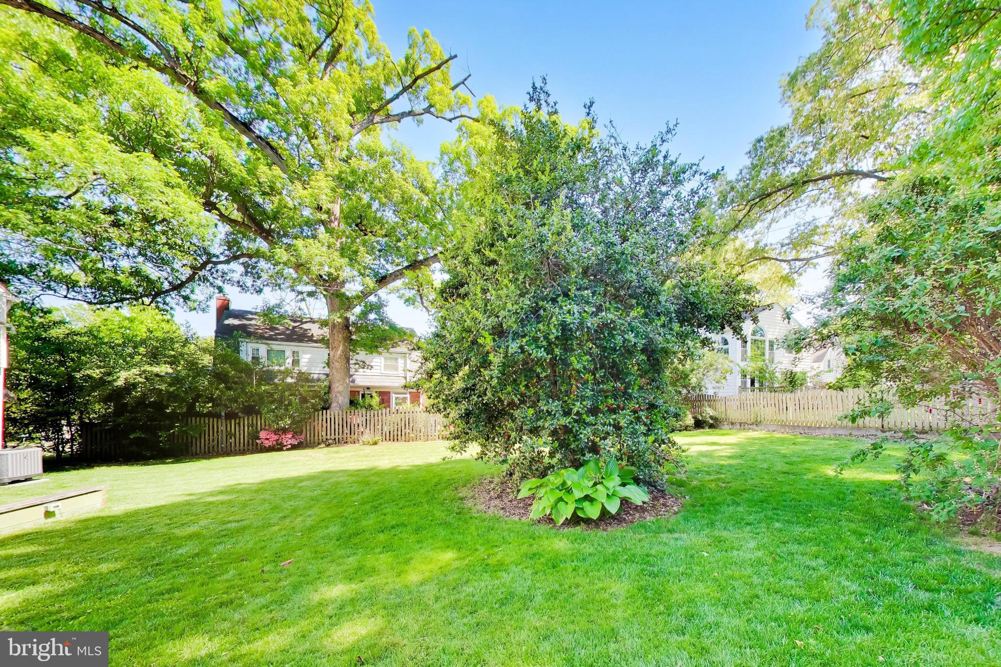 5707 Greenleaf Road Cheverly, MD 20743 - Photo 36 of 40 Lush green oasis in a serene setting.