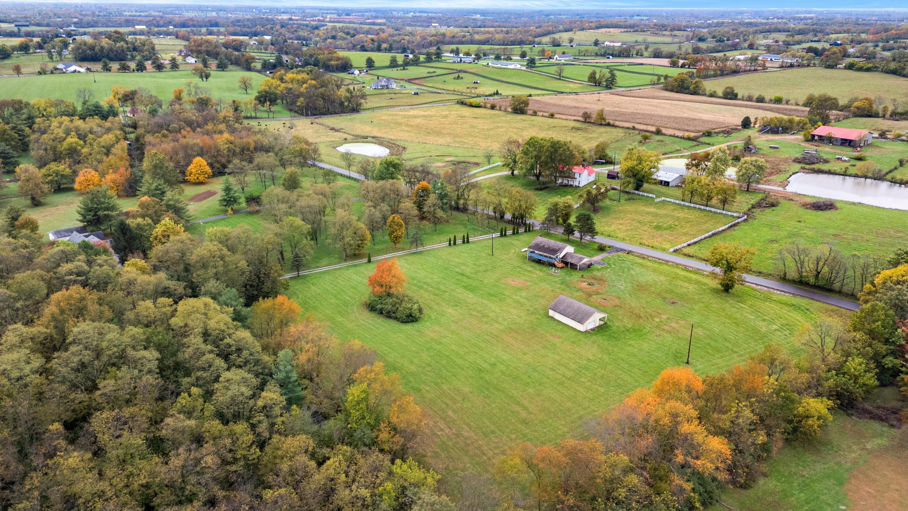 496 Soards Road Georgetown, KY 40324 - Photo 7 of 40 DJI_20251028085610_0016_D