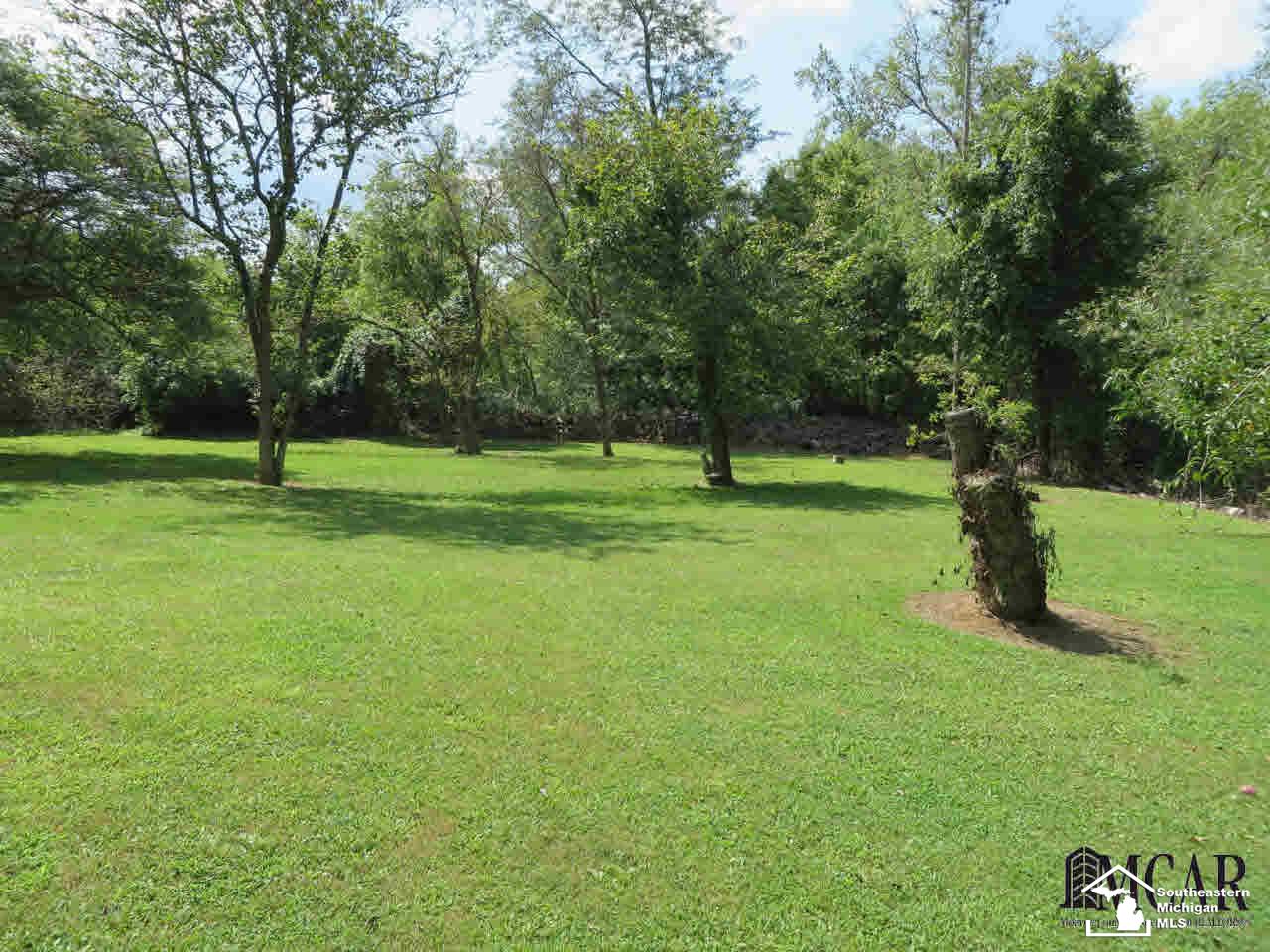 13382 Stowell Road Dundee, MI 48131 - Photo 26 of 32 21358911-25.JPG