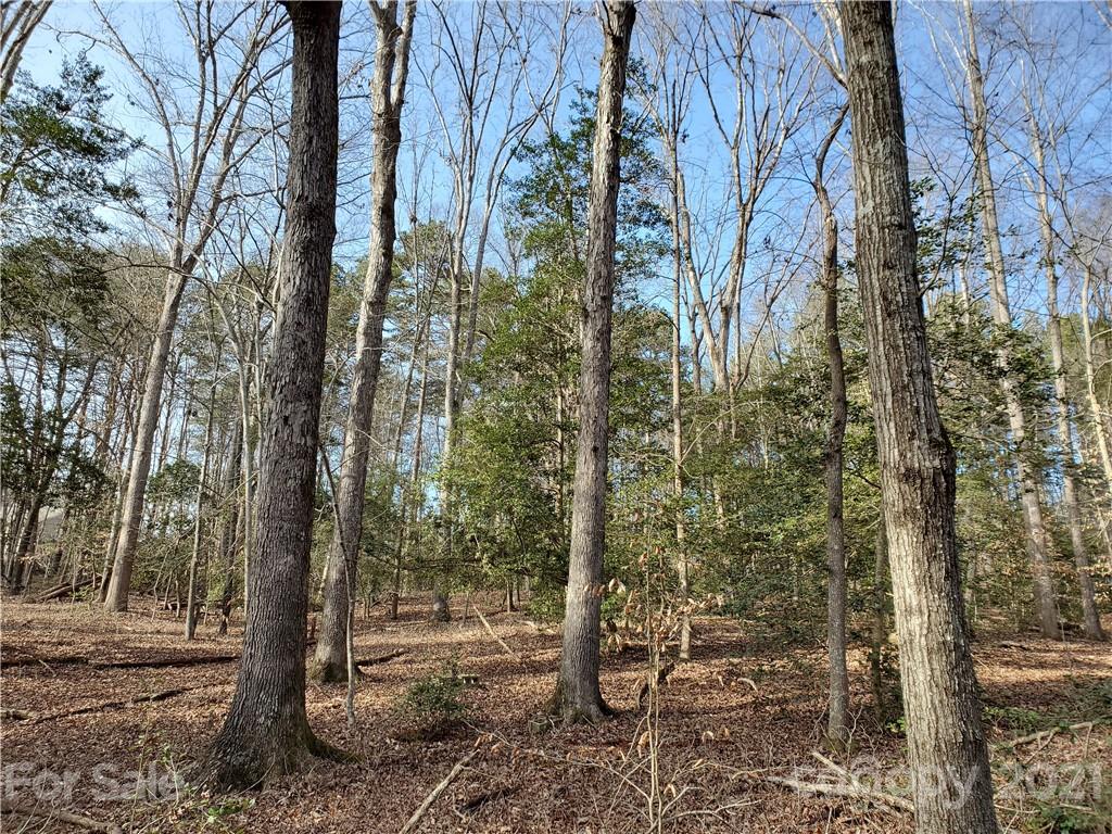 8281 Monbo Road Catawba, NC 28609 - Photo 1 of 6 Gallery Image 1