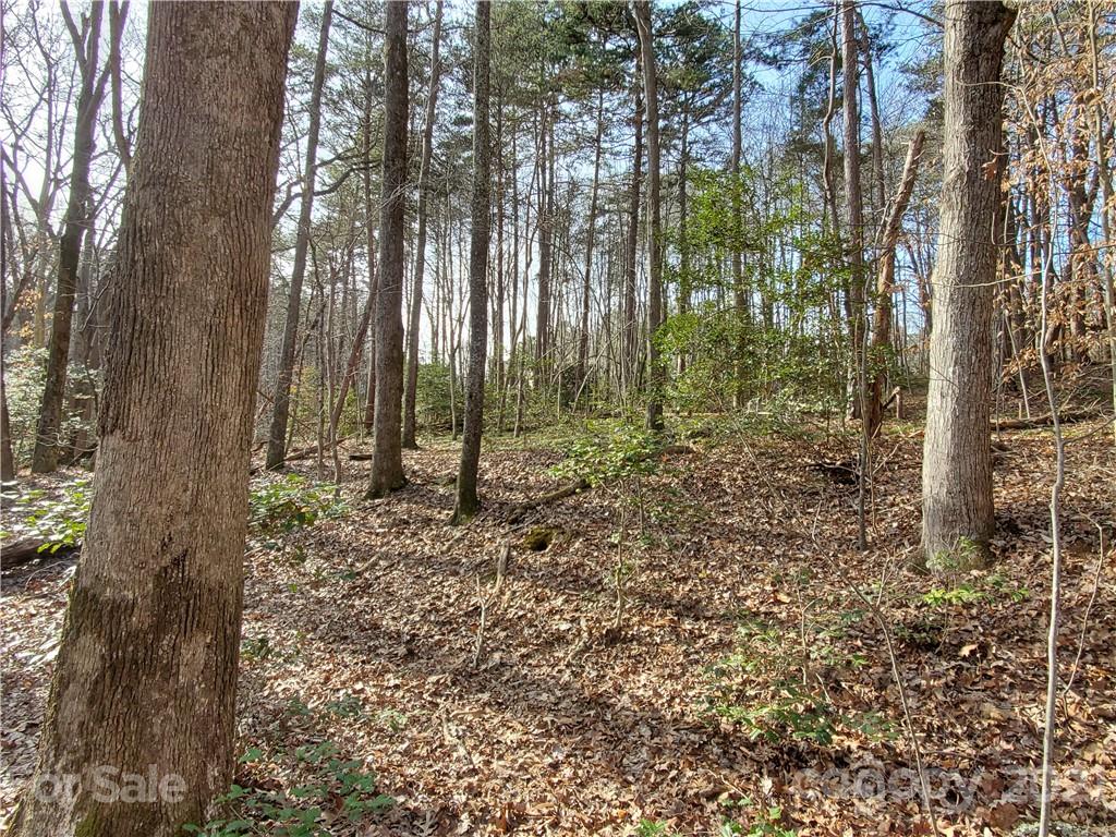 8281 Monbo Road Catawba, NC 28609 - Photo 4 of 6 Gallery Image 4