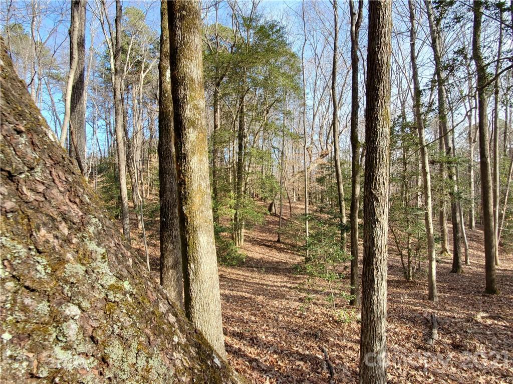 8281 Monbo Road Catawba, NC 28609 - Photo 6 of 6 Gallery Image 6