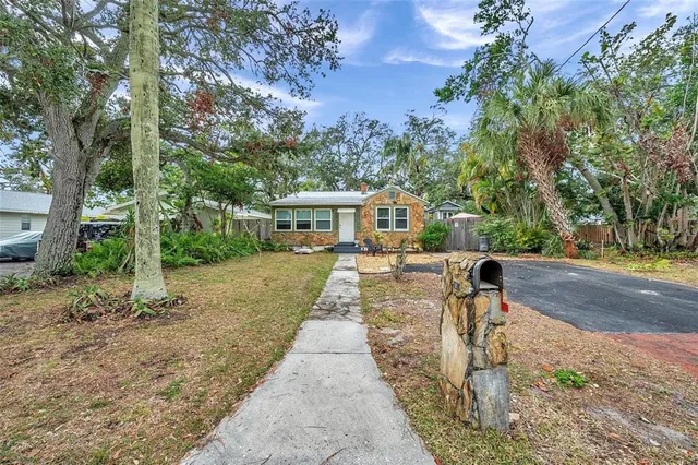 a view of a yard with plants and trees