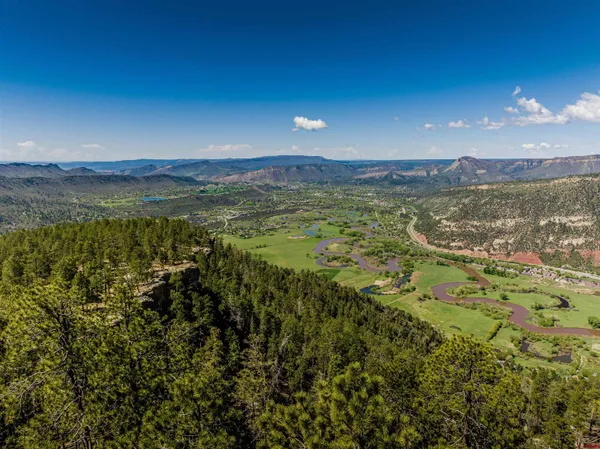 a view of road with trees