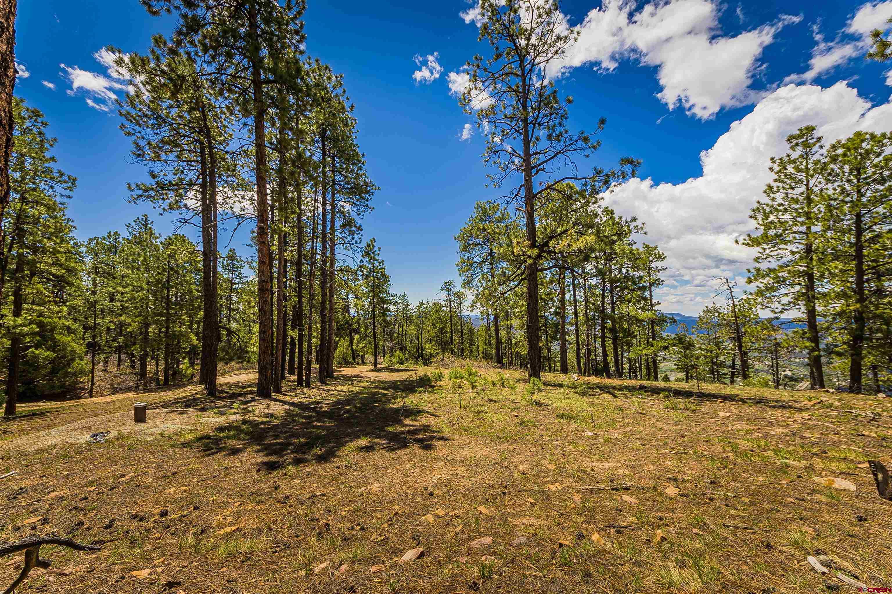 Tbd Durango Cliffs Drive Durango, CO 81301 - Photo 20 of 31