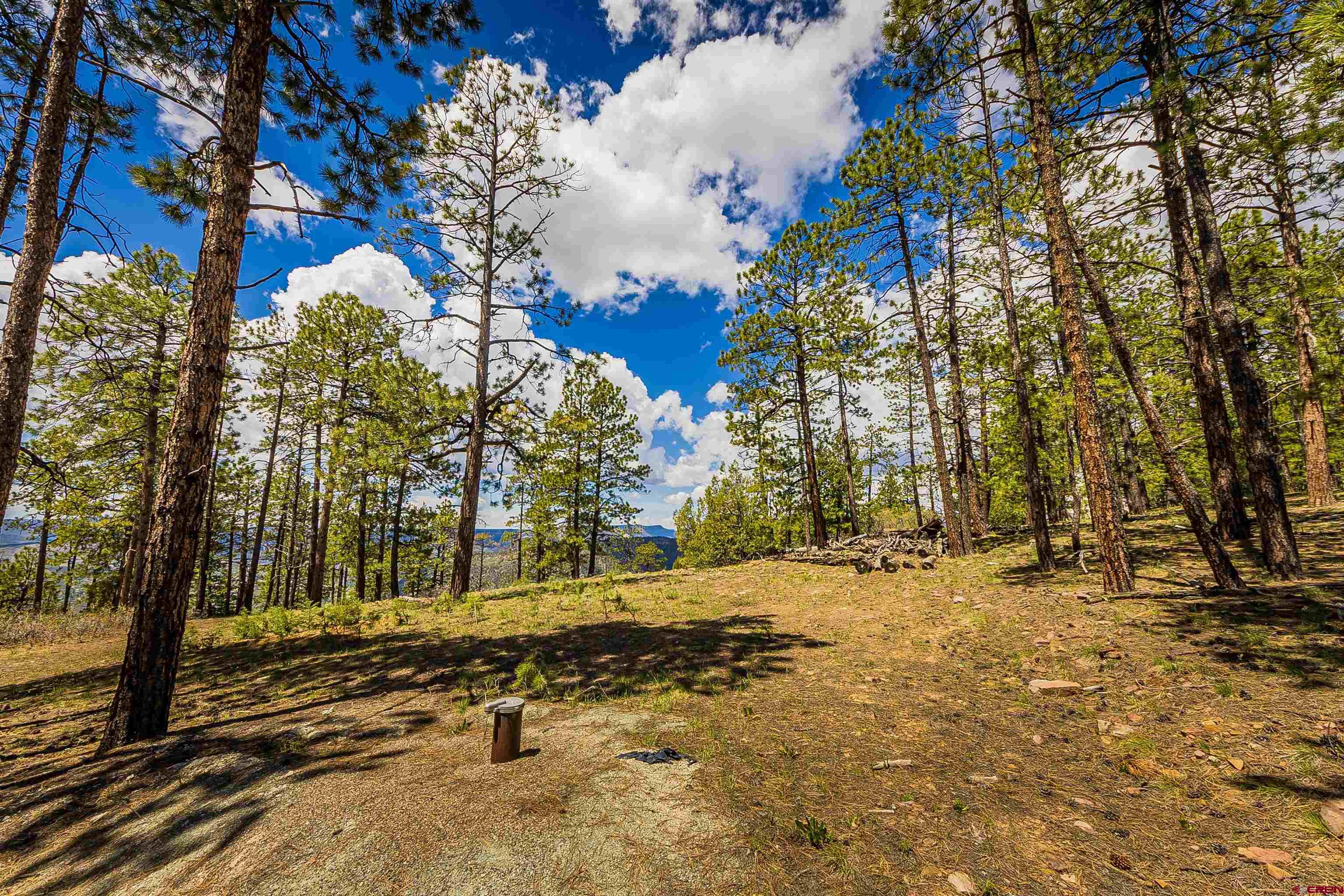 Tbd Durango Cliffs Drive Durango, CO 81301 - Photo 3 of 31