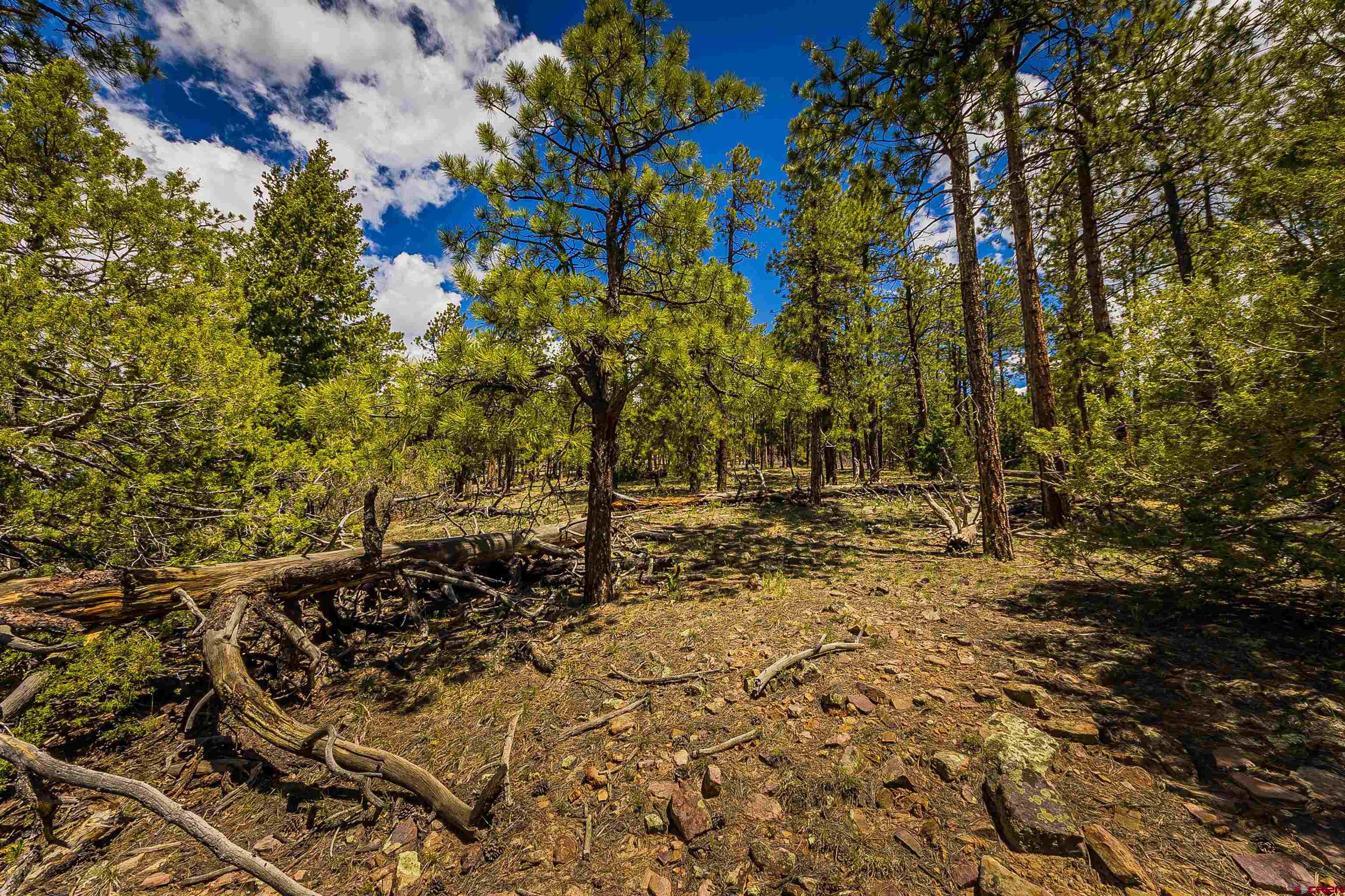 Tbd Durango Cliffs Drive Durango, CO 81301 - Photo 4 of 31