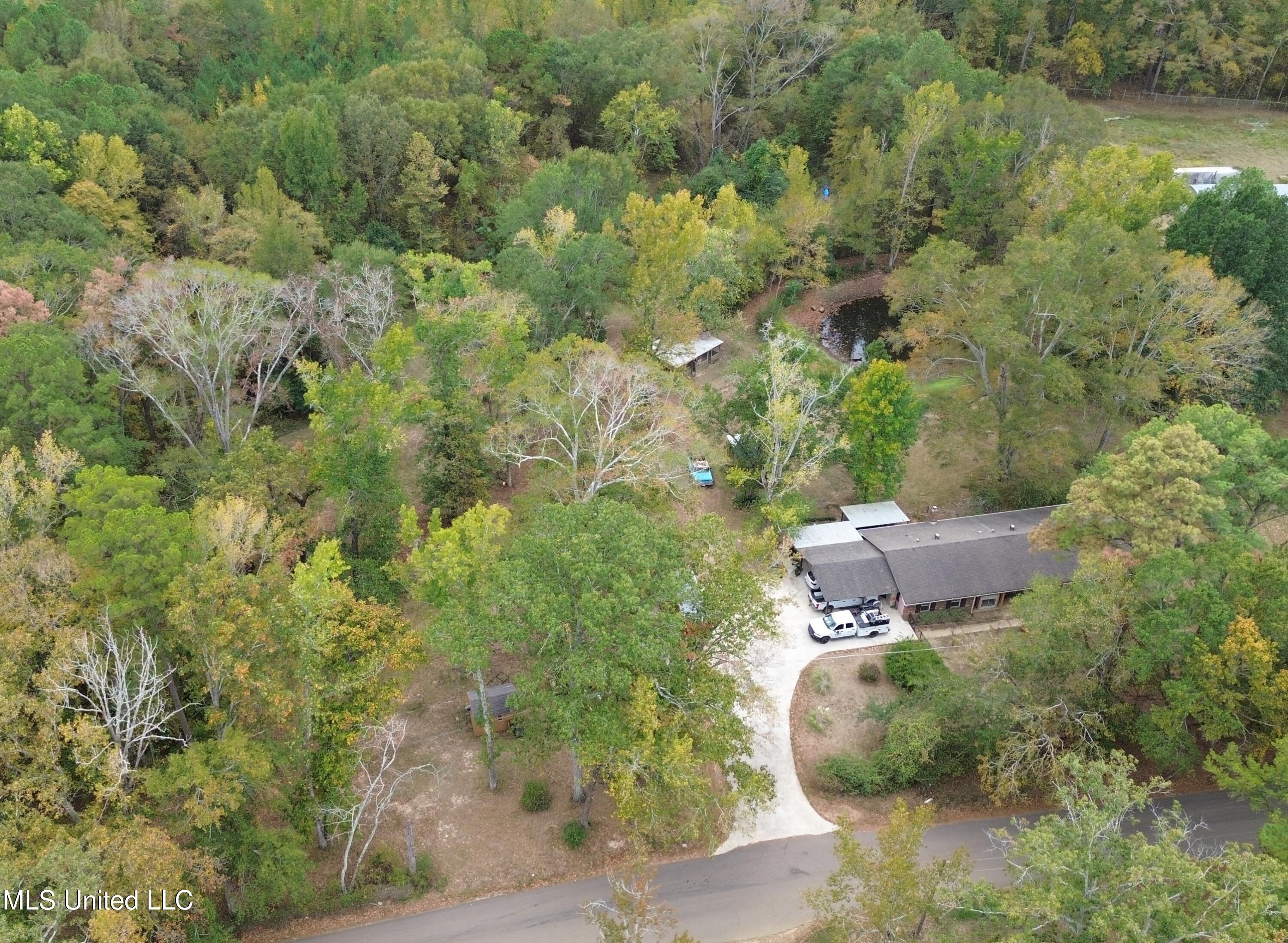 170 Coon Hunters Road Brandon, MS 39042 - Photo 1 of 36 Yard 8