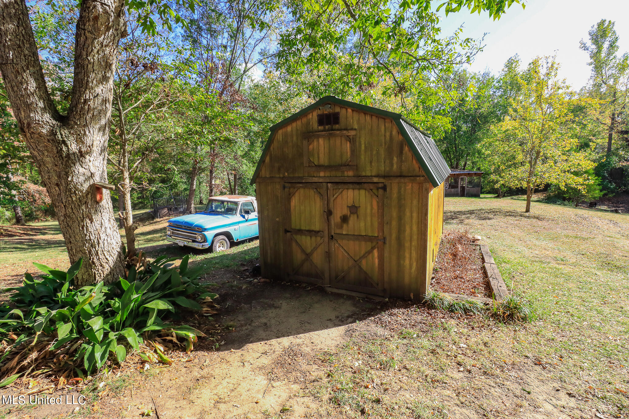 170 Coon Hunters Road Brandon, MS 39042 - Photo 11 of 36 Yard 7