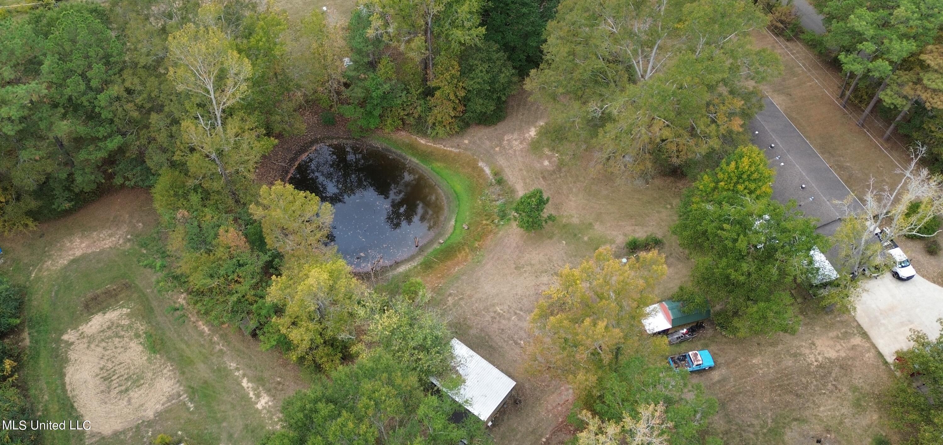 170 Coon Hunters Road Brandon, MS 39042 - Photo 3 of 36 Yard 9