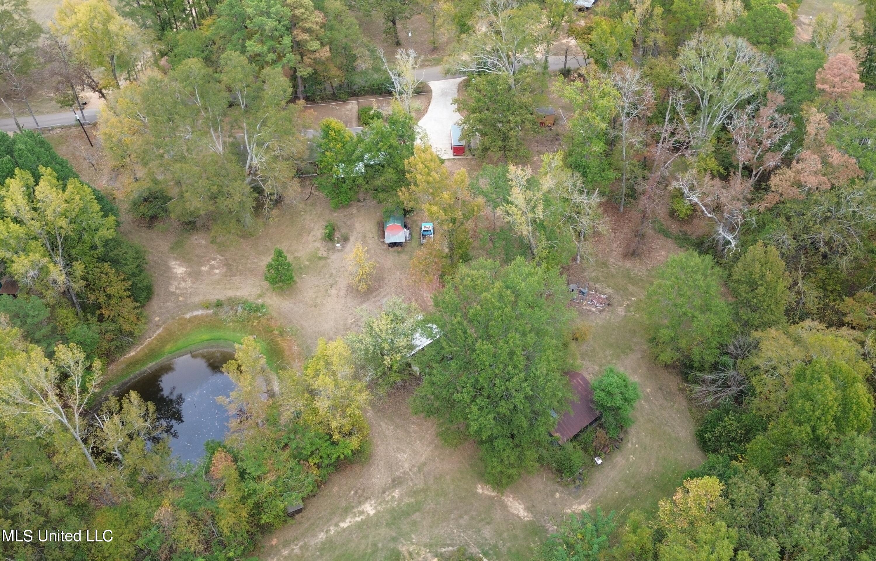 170 Coon Hunters Road Brandon, MS 39042 - Photo 4 of 36 Yard 10