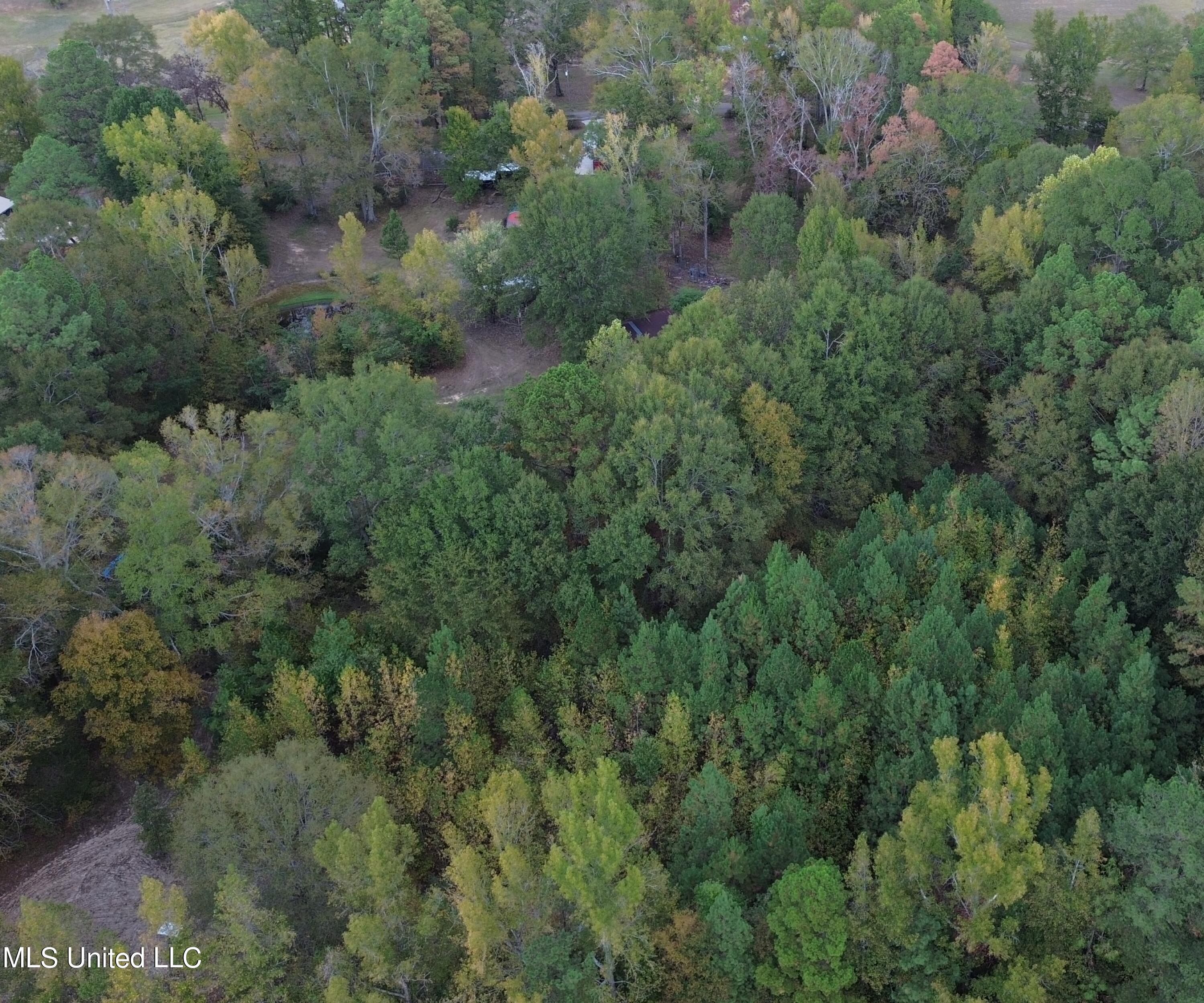 170 Coon Hunters Road Brandon, MS 39042 - Photo 5 of 36 Yard 11