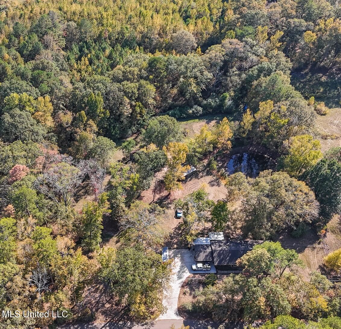 170 Coon Hunters Road Brandon, MS 39042 - Photo 6 of 36 Yard 6