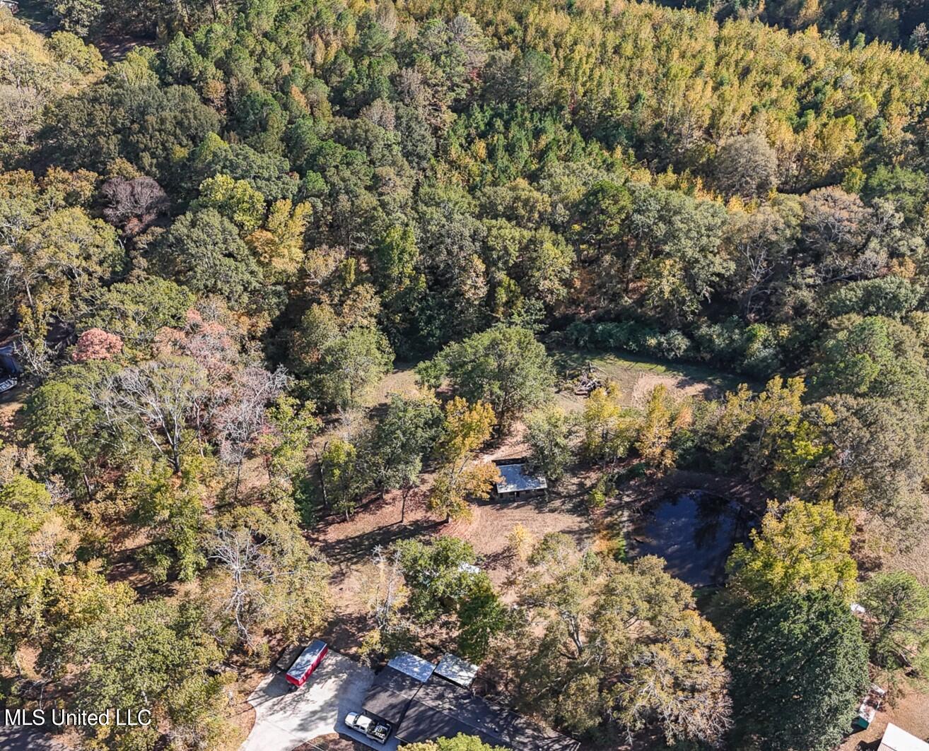 170 Coon Hunters Road Brandon, MS 39042 - Photo 7 of 36 Yard 5