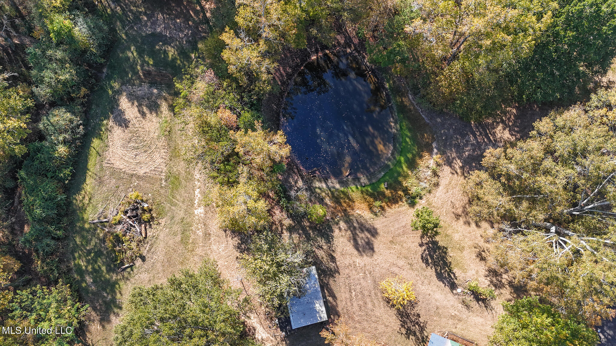 170 Coon Hunters Road Brandon, MS 39042 - Photo 8 of 36 Yard 4