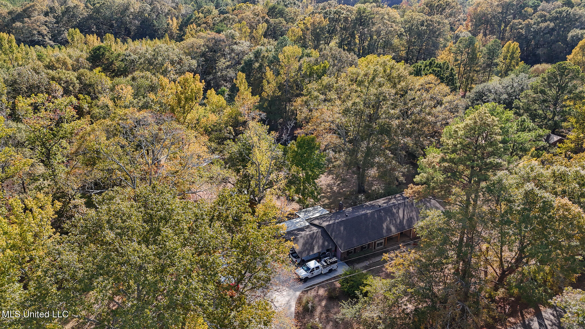 170 Coon Hunters Road Brandon, MS 39042 - Photo 10 of 36 Yard 2
