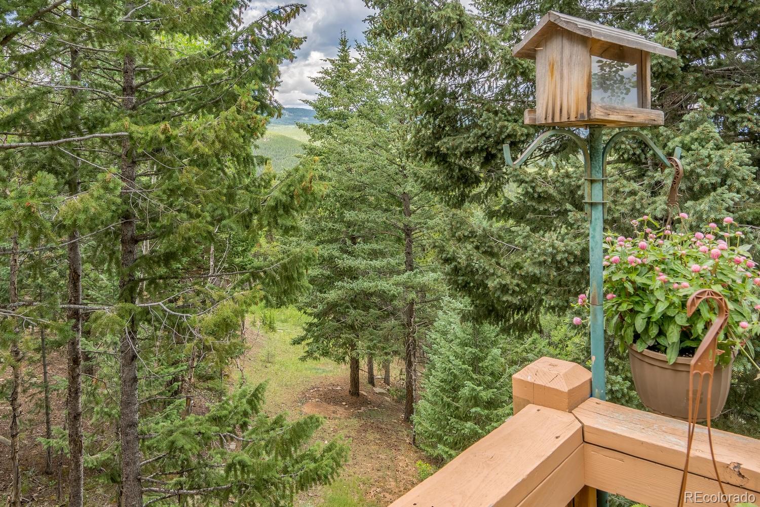 8463 Martin Lane Conifer, CO 80433 - Photo 34 of 35