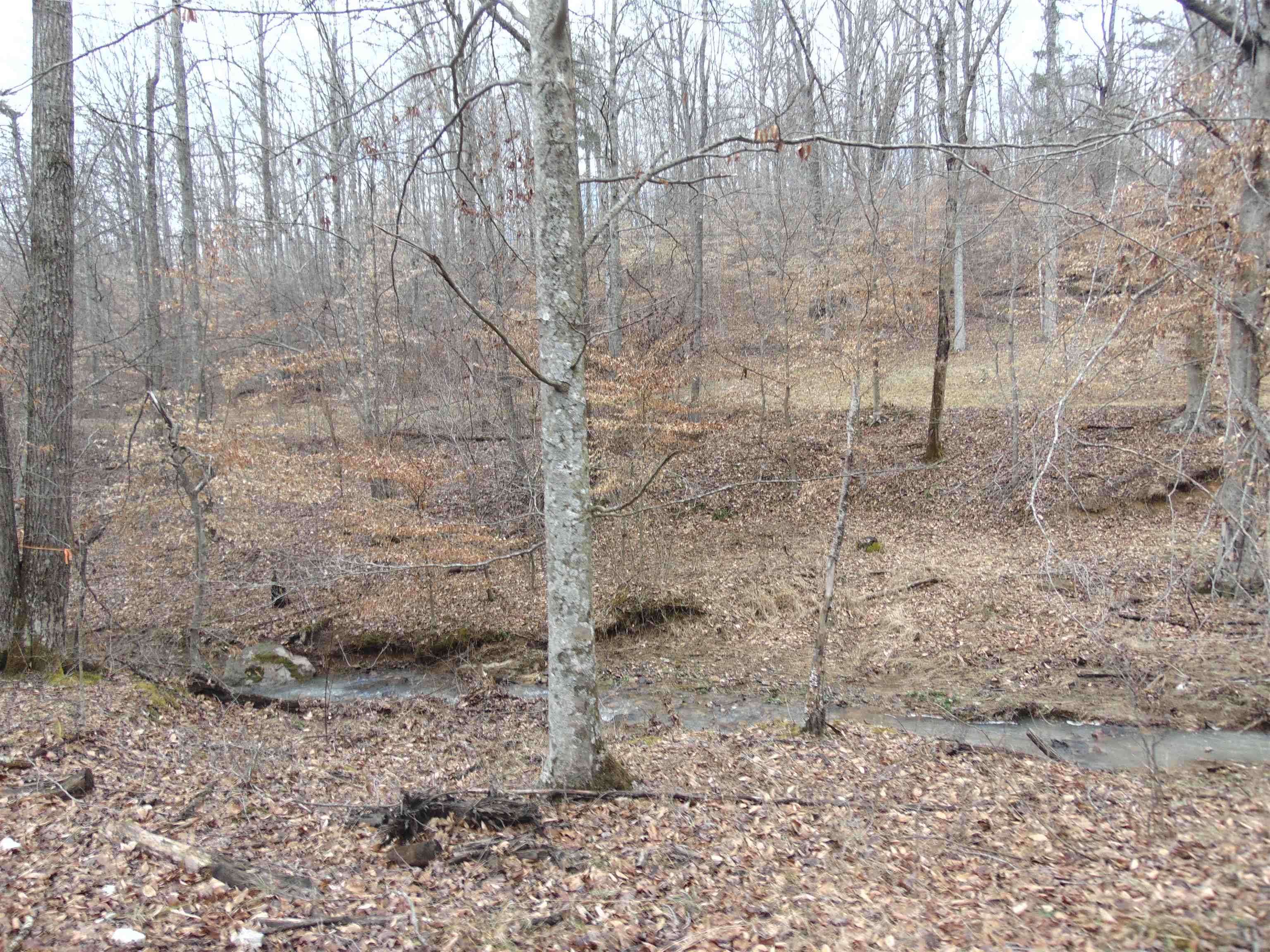 2325 Seas Branch Road Morehead, KY 40351 - Photo 36 of 36 Gallery Image 36