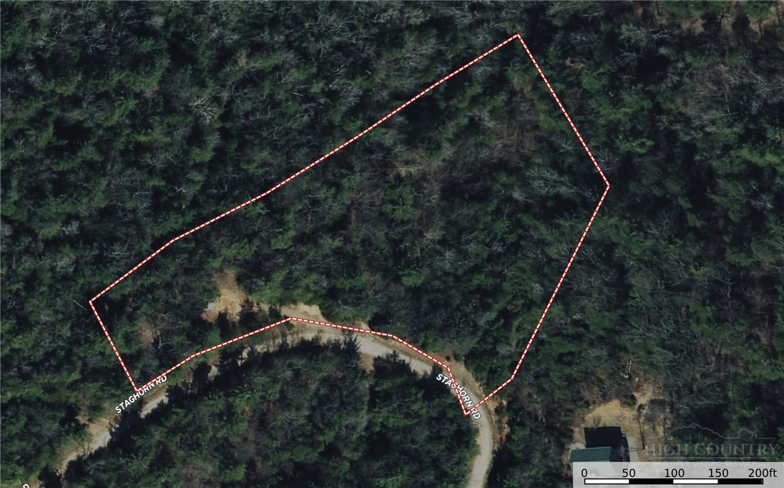 160-161 Staghorn Road Purlear, NC 28665 - Photo 3 of 49 a view of a tennis court