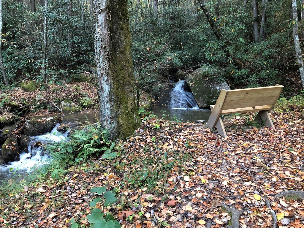 160-161 Staghorn Road Purlear, NC 28665 - Photo 35 of 49 a view of a bench in a garden