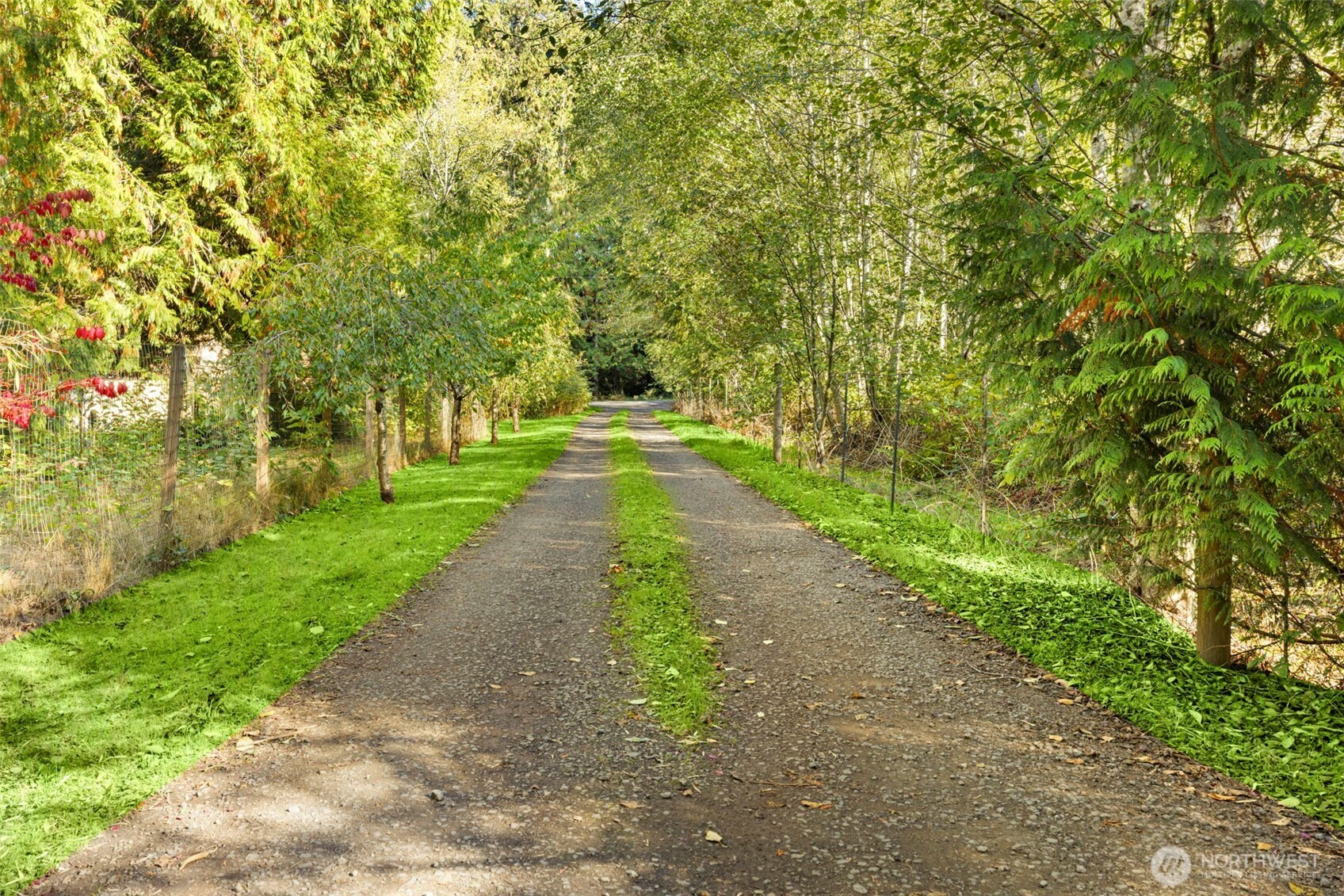 24165 Port Gamble Road Northeast Poulsbo, WA 98370 - Photo 4 of 37 a big yard with flowing stream of water in middle