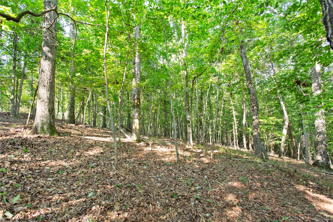 Lot 17 Sunset Ridge/paramount Drive Seneca, SC 29678 - Photo 11 of 18