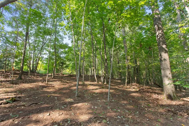 $39,900 | Lot 17 Sunset Ridge/paramount Drive, Seneca, SC 29678