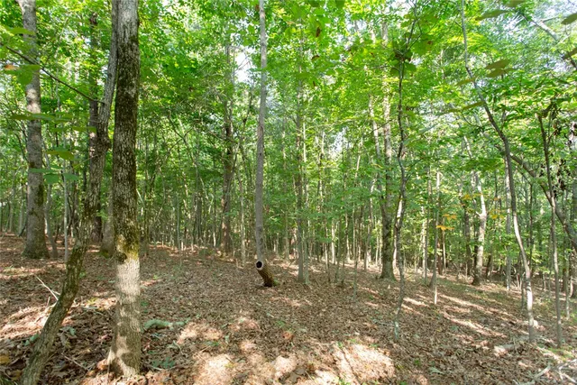 $39,900 | Lot 17 Sunset Ridge/paramount Drive, Seneca, SC 29678