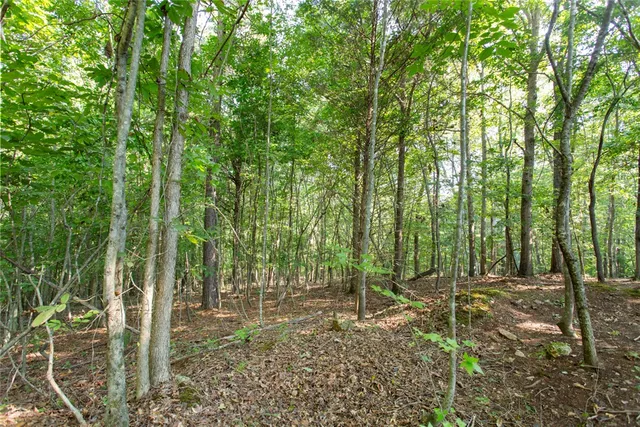 $39,900 | Lot 17 Sunset Ridge/paramount Drive, Seneca, SC 29678