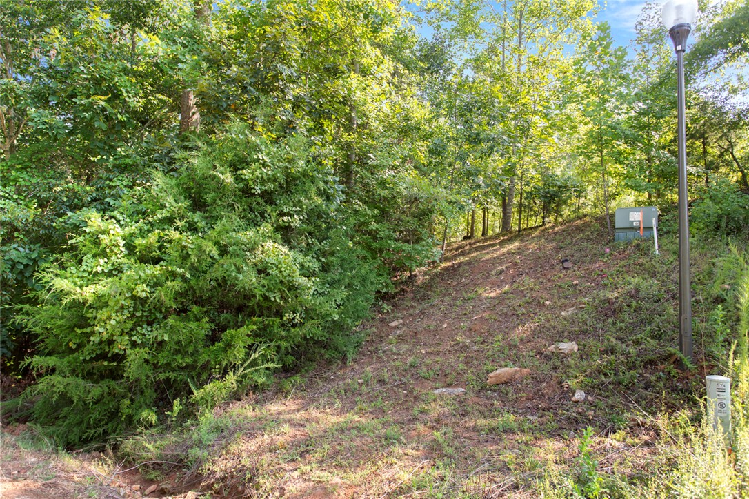 Lot 17 Sunset Ridge/paramount Drive Seneca, SC 29678 - Photo 4 of 18
