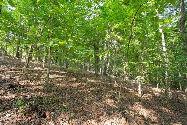 $39,900 | Lot 17 Sunset Ridge/paramount Drive, Seneca, SC 29678