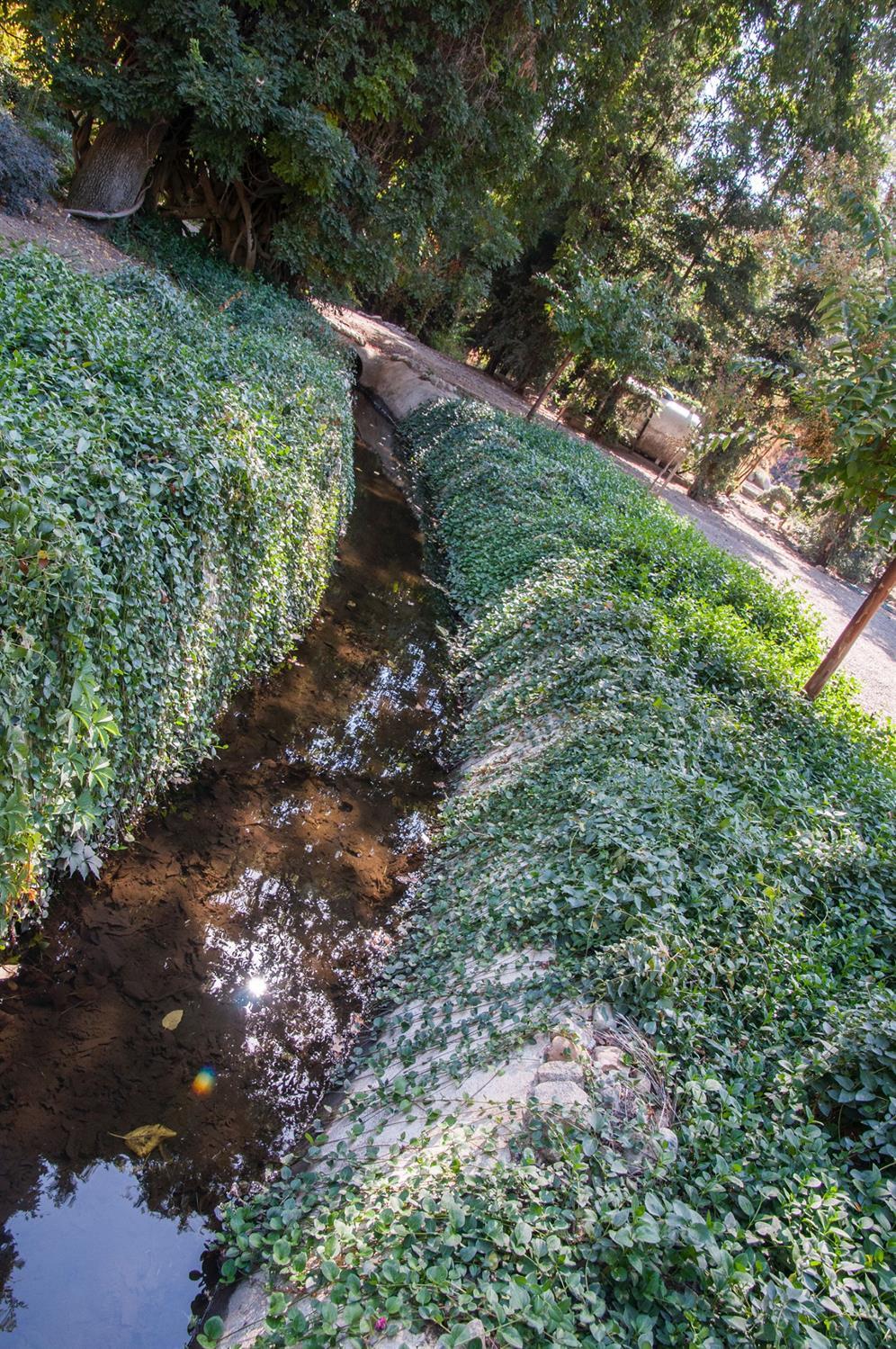 42830 North Fork Drive Three Rivers, CA 93271 - Photo 4 of 76 Additional Photo
