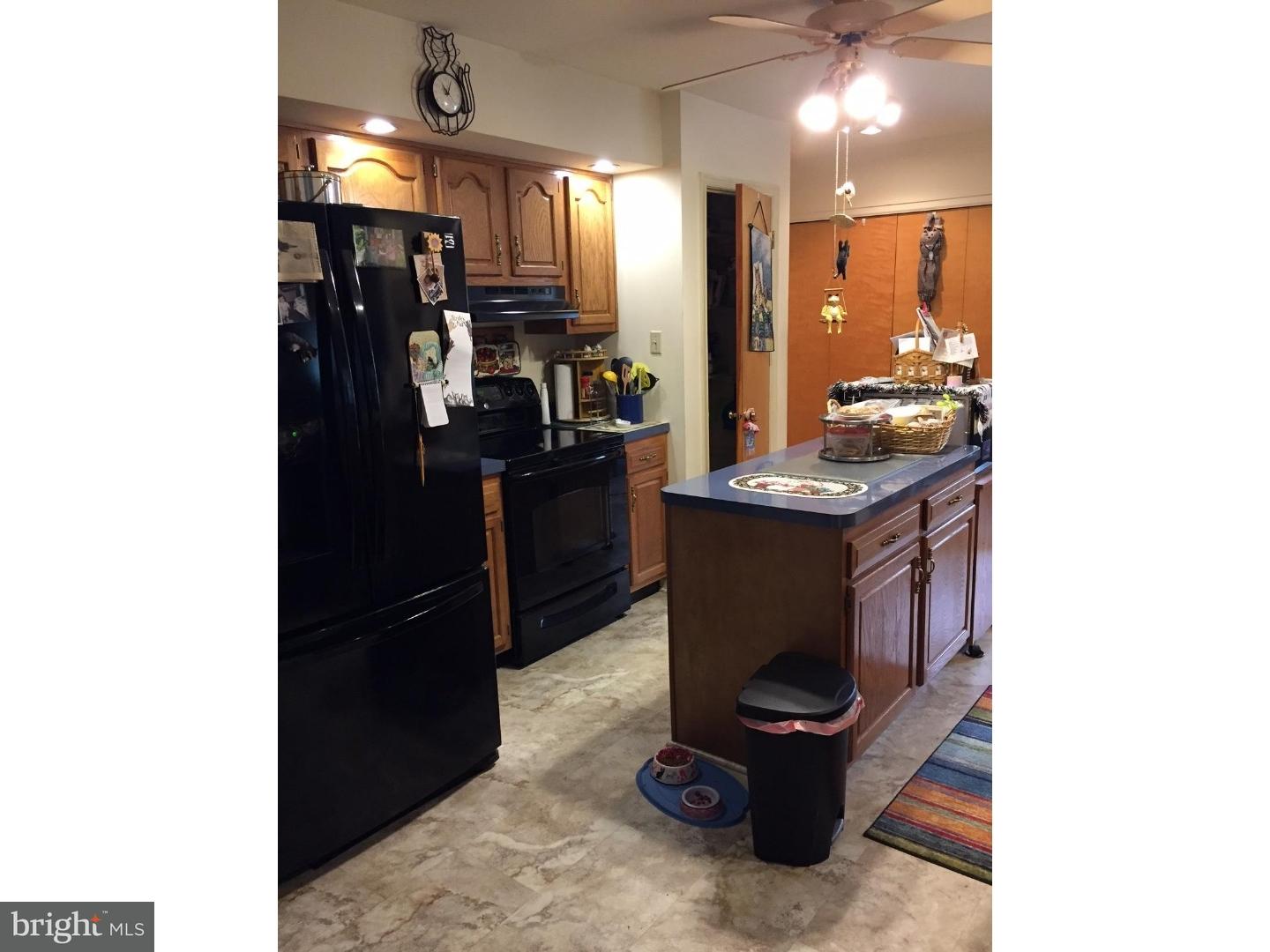 413 South Baumstown Road Birdsboro, PA 19508 - Photo 2 of 25 Kitchen