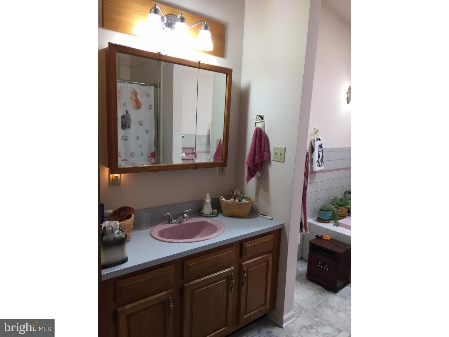 413 South Baumstown Road Birdsboro, PA 19508 - Photo 15 of 25 Master Bathroom