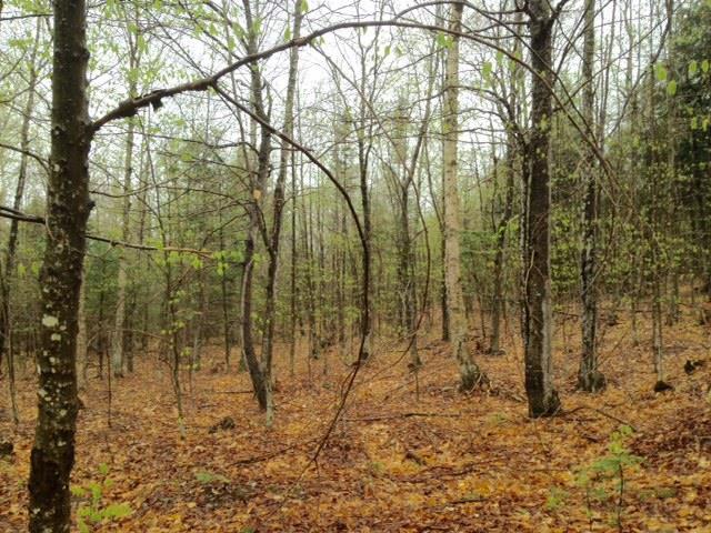 500 Orchard Road Guilford, ME 04443 - Photo 2 of 11 Maine Land for Sale