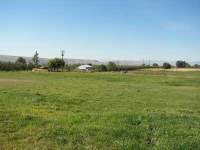 10542 Mieras Road Moxee, WA 98936 - Photo 23 of 29 a view of a grassy field