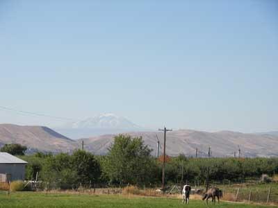 10542 Mieras Road Moxee, WA 98936 - Photo 29 of 29 a view of a town with mountains in the background