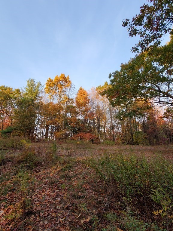 0 East County Road Rutland, MA 01543 - Photo 6 of 8