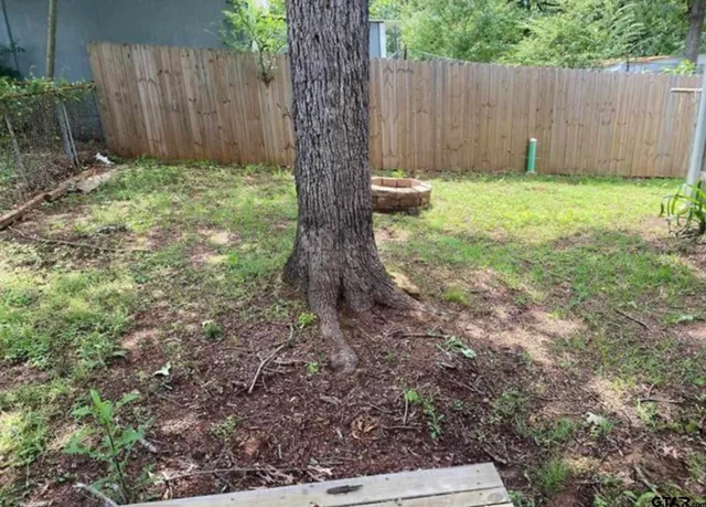 a view of backyard with tree