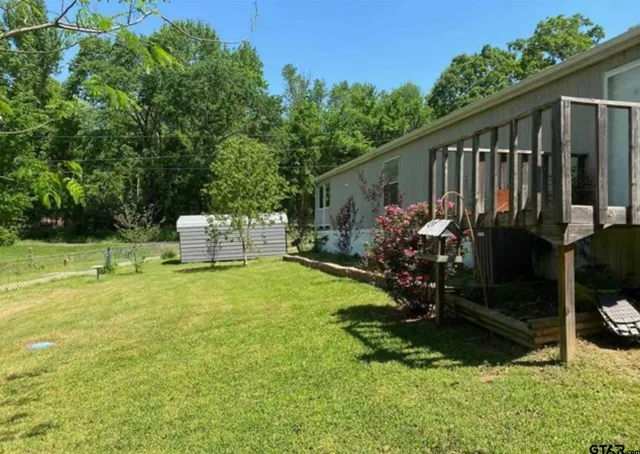 a garden covered with tall trees