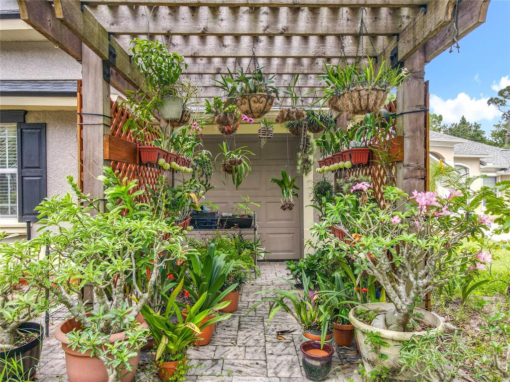 214 Chestnut Ridge Street Winter Springs, FL 32708 - Photo 60 of 68 a plant that is in front of a building