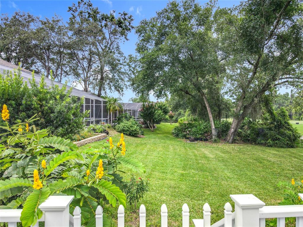 214 Chestnut Ridge Street Winter Springs, FL 32708 - Photo 65 of 68 a view of backyard with swimming pool and green space