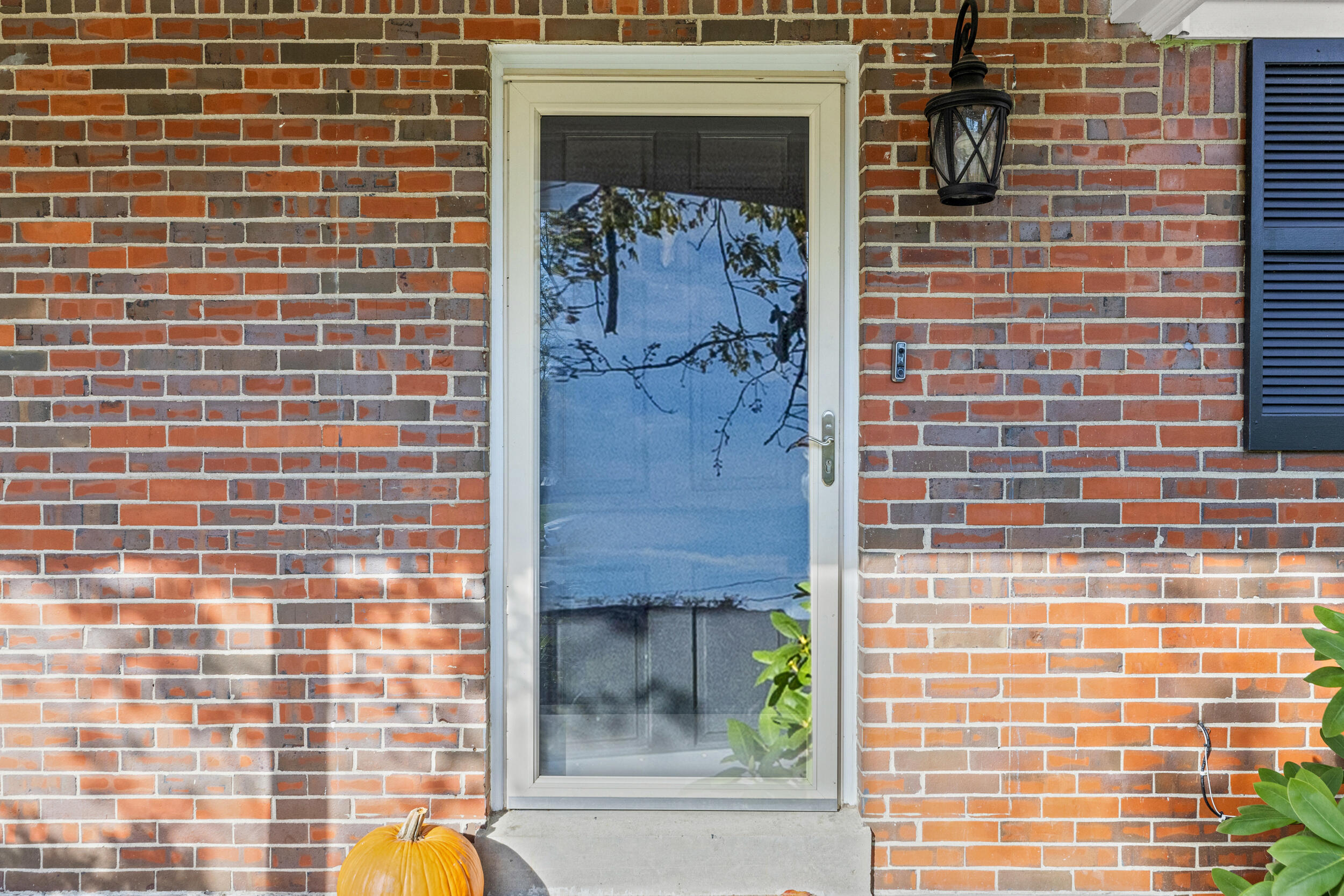 2_img_8484