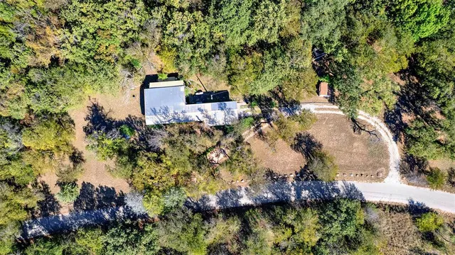 a picture of flowers