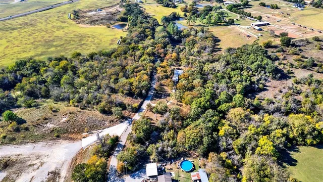 a view of a tree with a wooden fence