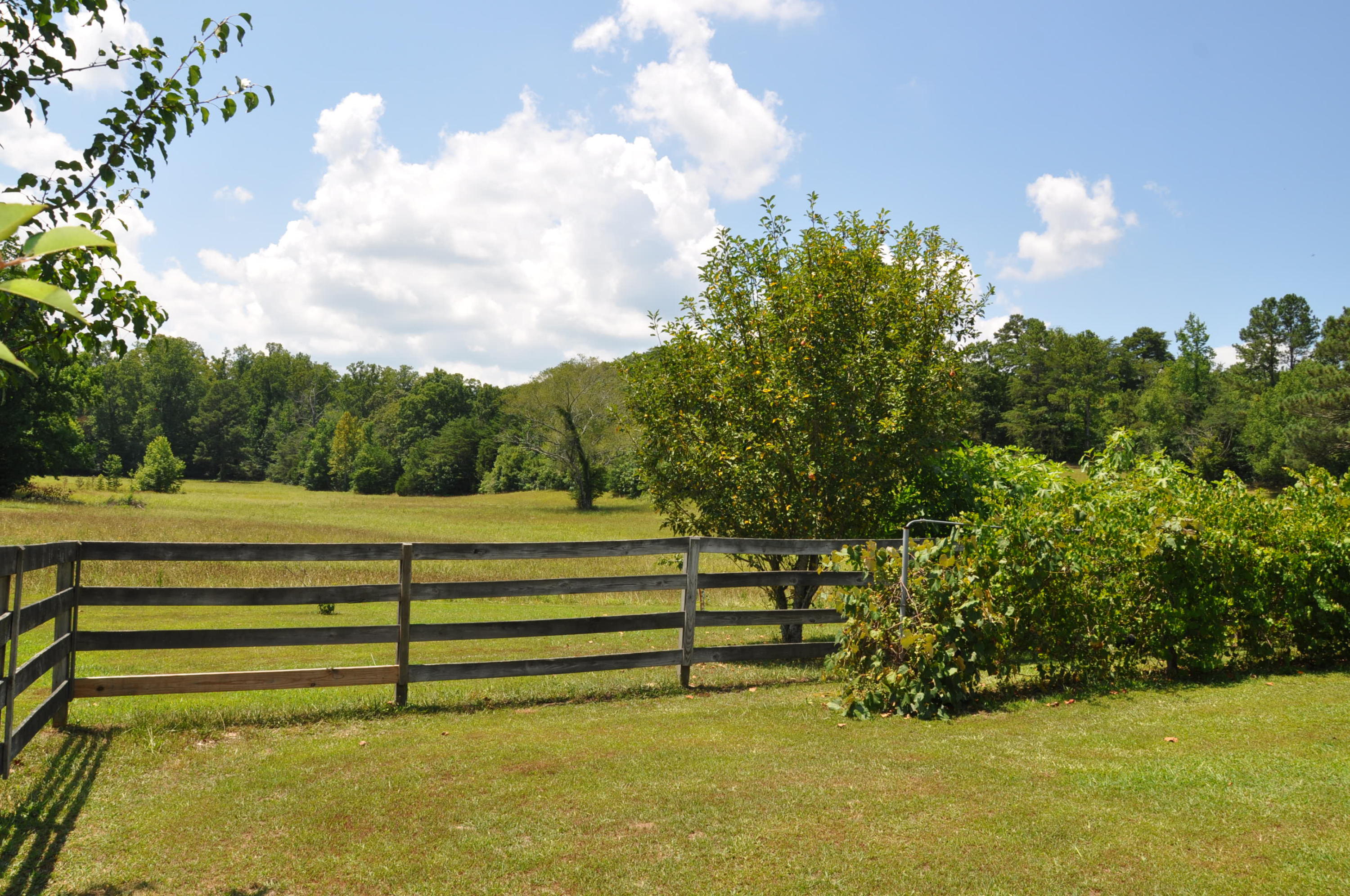 4472 North Marble Top Road Chickamauga, GA 30707 - Photo 44 of 50 View of Back Pasture