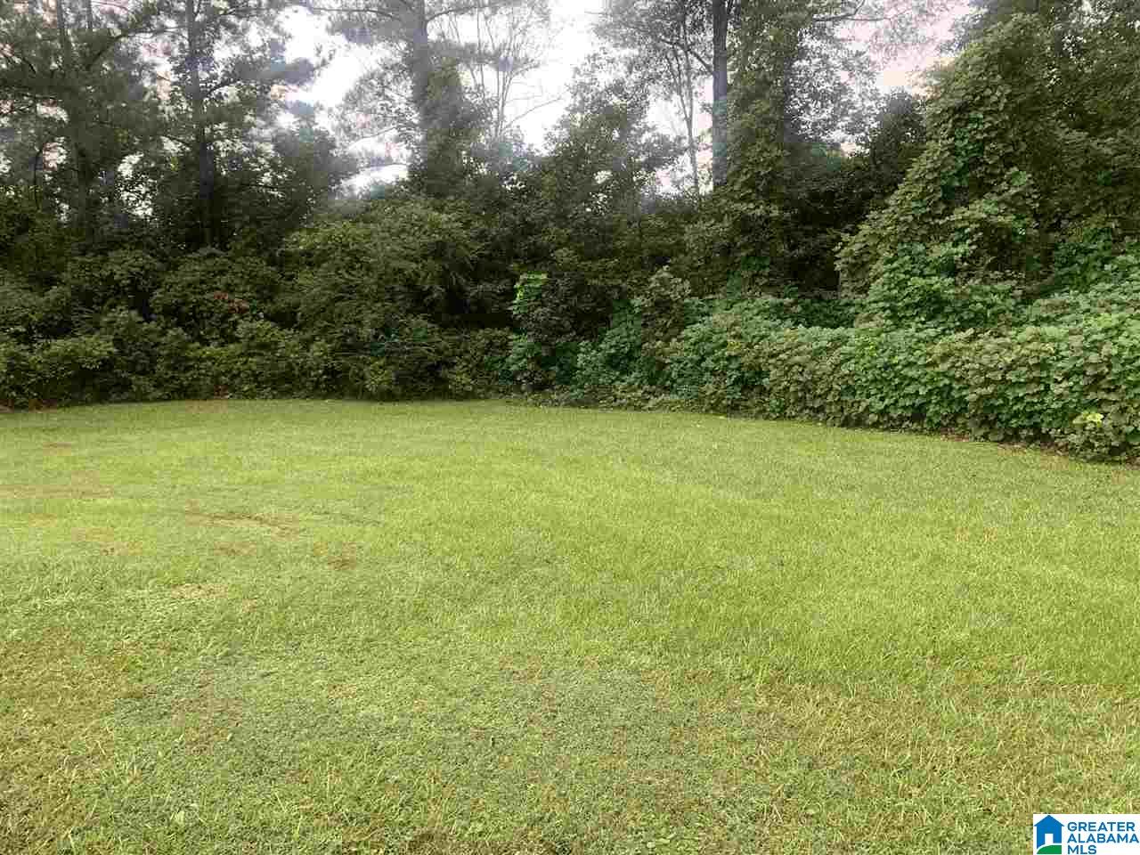 675 County Road 131 Jemison, AL 35085 - Photo 4 of 19