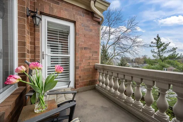 a potted plants sitting in front of a house