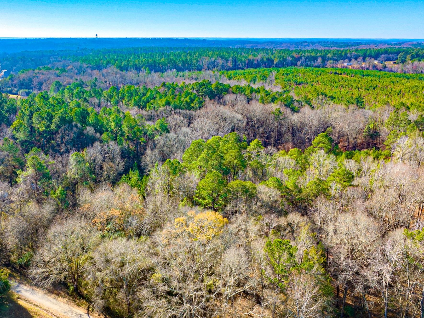 241 Boozer Road Enoree, SC 29335 - Photo 12 of 12